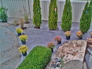 Landscape Lighting