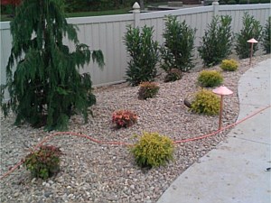 Landscape Lighting